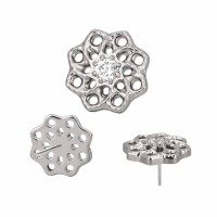 Organic Bloom (Push-pin)